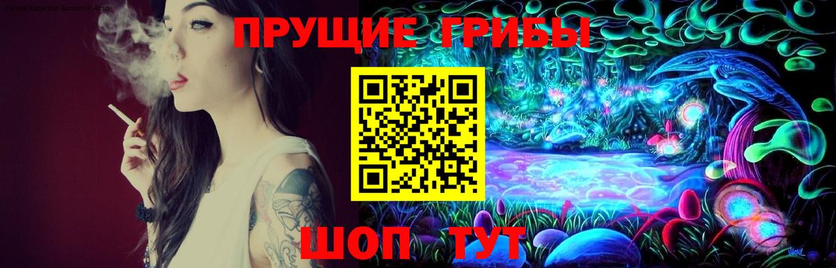 Галлюциногенные грибы Psilocybe  Вход с VPN  Нурлат 